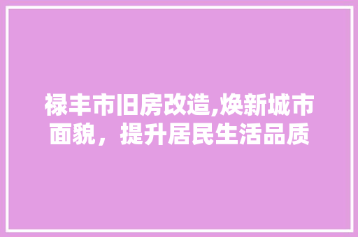 禄丰市旧房改造,焕新城市面貌，提升居民生活品质