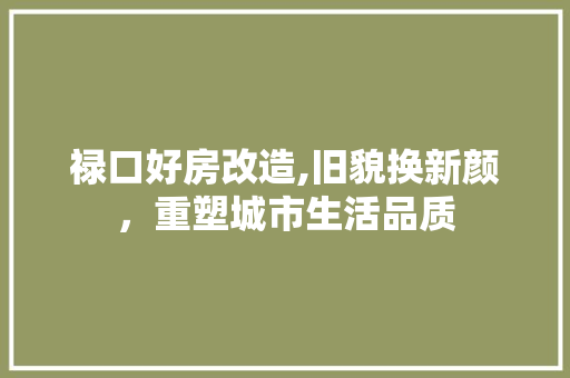 禄口好房改造,旧貌换新颜，重塑城市生活品质
