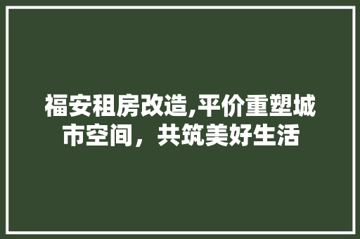 福安租房改造,平价重塑城市空间，共筑美好生活