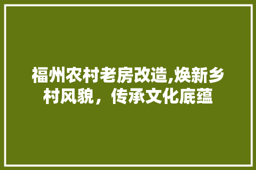 福州农村老房改造,焕新乡村风貌，传承文化底蕴