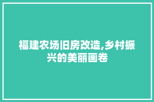 福建农场旧房改造,乡村振兴的美丽画卷