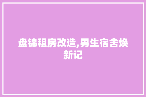 盘锦租房改造,男生宿舍焕新记