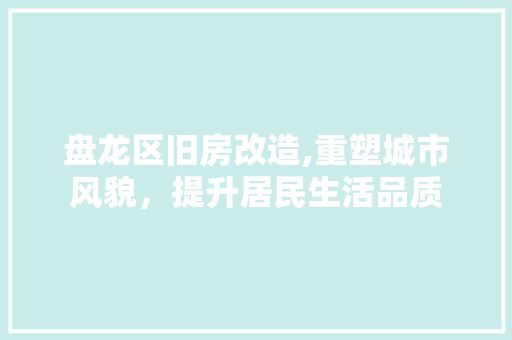 盘龙区旧房改造,重塑城市风貌，提升居民生活品质