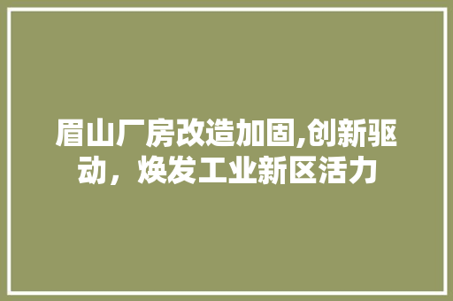 眉山厂房改造加固,创新驱动，焕发工业新区活力