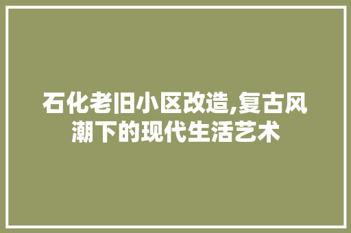 石化老旧小区改造,复古风潮下的现代生活艺术