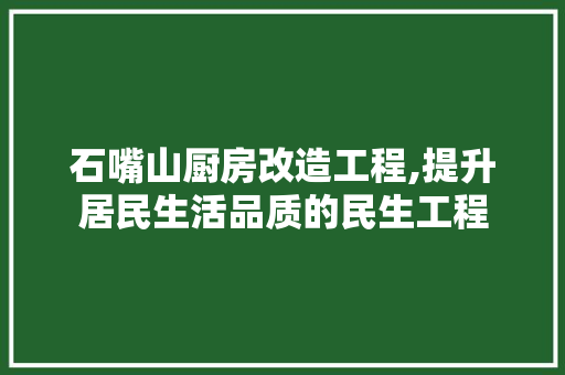 石嘴山厨房改造工程,提升居民生活品质的民生工程