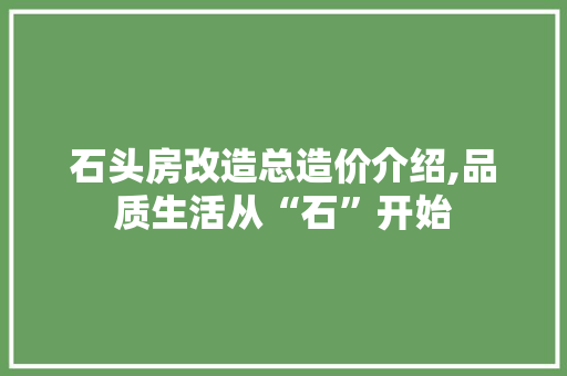 石头房改造总造价介绍,品质生活从“石”开始