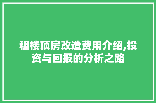 租楼顶房改造费用介绍,投资与回报的分析之路