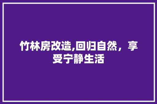竹林房改造,回归自然，享受宁静生活