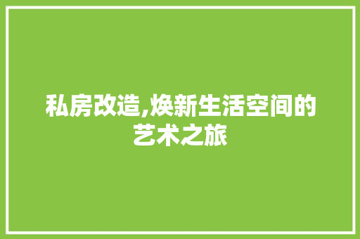 私房改造,焕新生活空间的艺术之旅