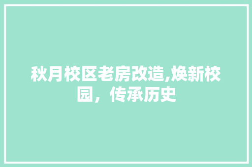 秋月校区老房改造,焕新校园，传承历史