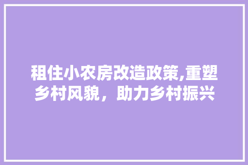 租住小农房改造政策,重塑乡村风貌，助力乡村振兴
