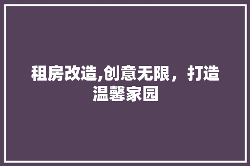租房改造,创意无限，打造温馨家园