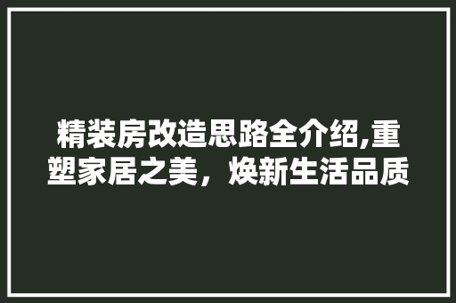 精装房改造思路全介绍,重塑家居之美，焕新生活品质