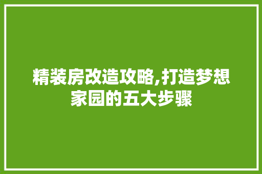 精装房改造攻略,打造梦想家园的五大步骤
