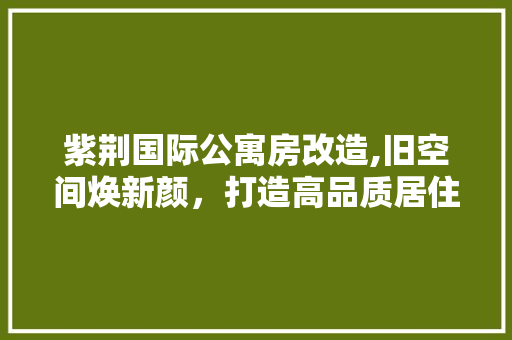紫荆国际公寓房改造,旧空间焕新颜，打造高品质居住体验