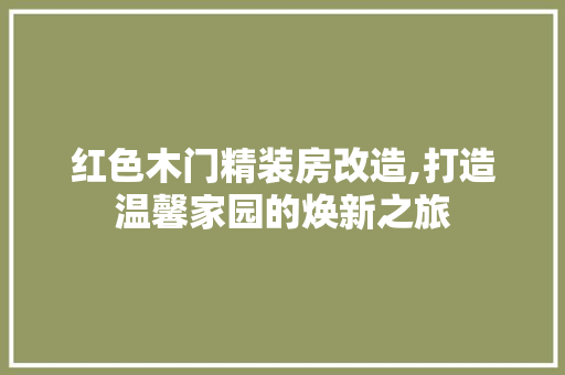 红色木门精装房改造,打造温馨家园的焕新之旅