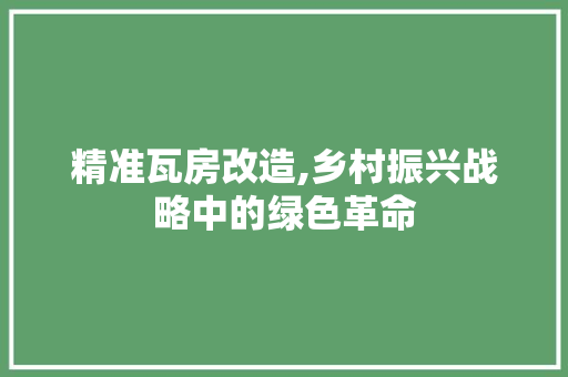 精准瓦房改造,乡村振兴战略中的绿色革命
