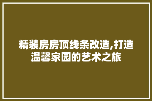 精装房房顶线条改造,打造温馨家园的艺术之旅