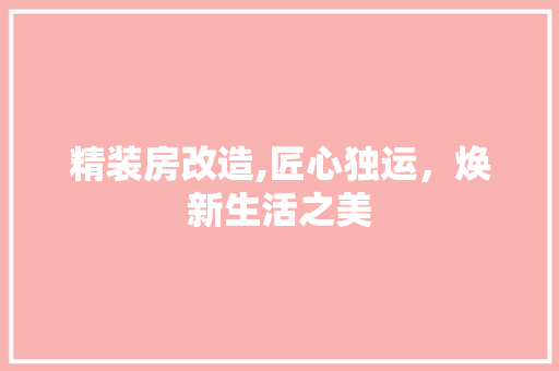 精装房改造,匠心独运，焕新生活之美