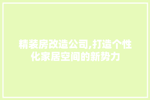精装房改造公司,打造个性化家居空间的新势力