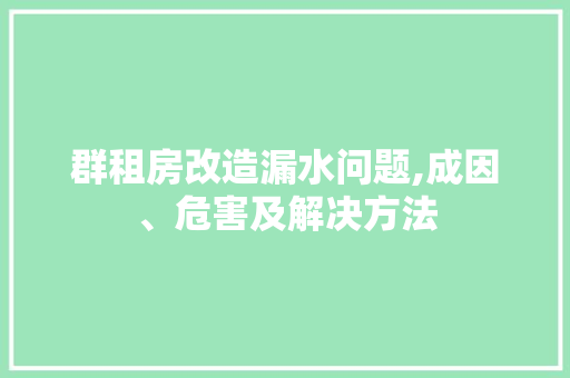 群租房改造漏水问题,成因、危害及解决方法