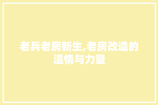 老兵老房新生,老房改造的温情与力量