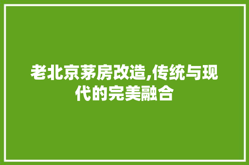 老北京茅房改造,传统与现代的完美融合