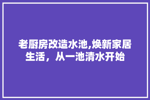老厨房改造水池,焕新家居生活，从一池清水开始