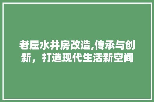 老屋水井房改造,传承与创新，打造现代生活新空间