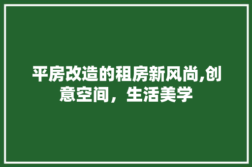 平房改造的租房新风尚,创意空间，生活美学