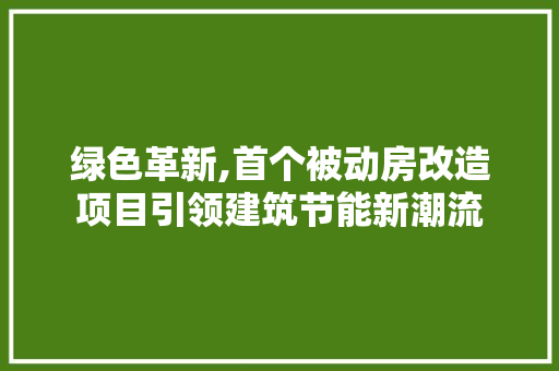 绿色革新,首个被动房改造项目引领建筑节能新潮流