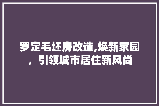 罗定毛坯房改造,焕新家园，引领城市居住新风尚